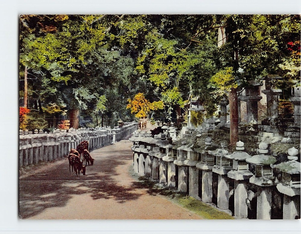 Postcard Kasuga Shrine Nara Japan