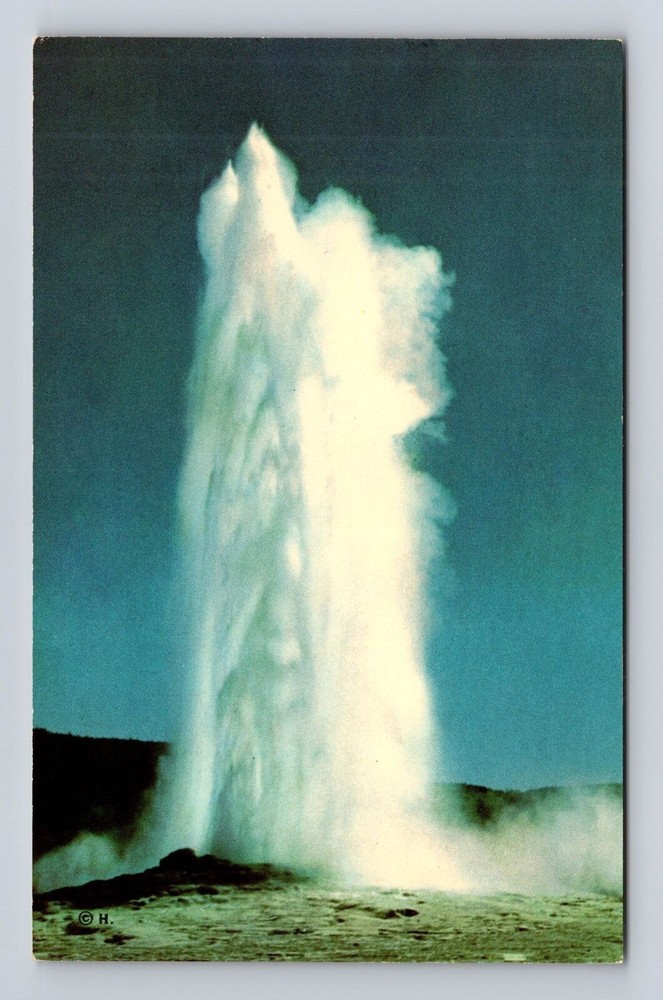 Yellowstone National Park, Old Faithful Geyser, Antique Vintage Postcard