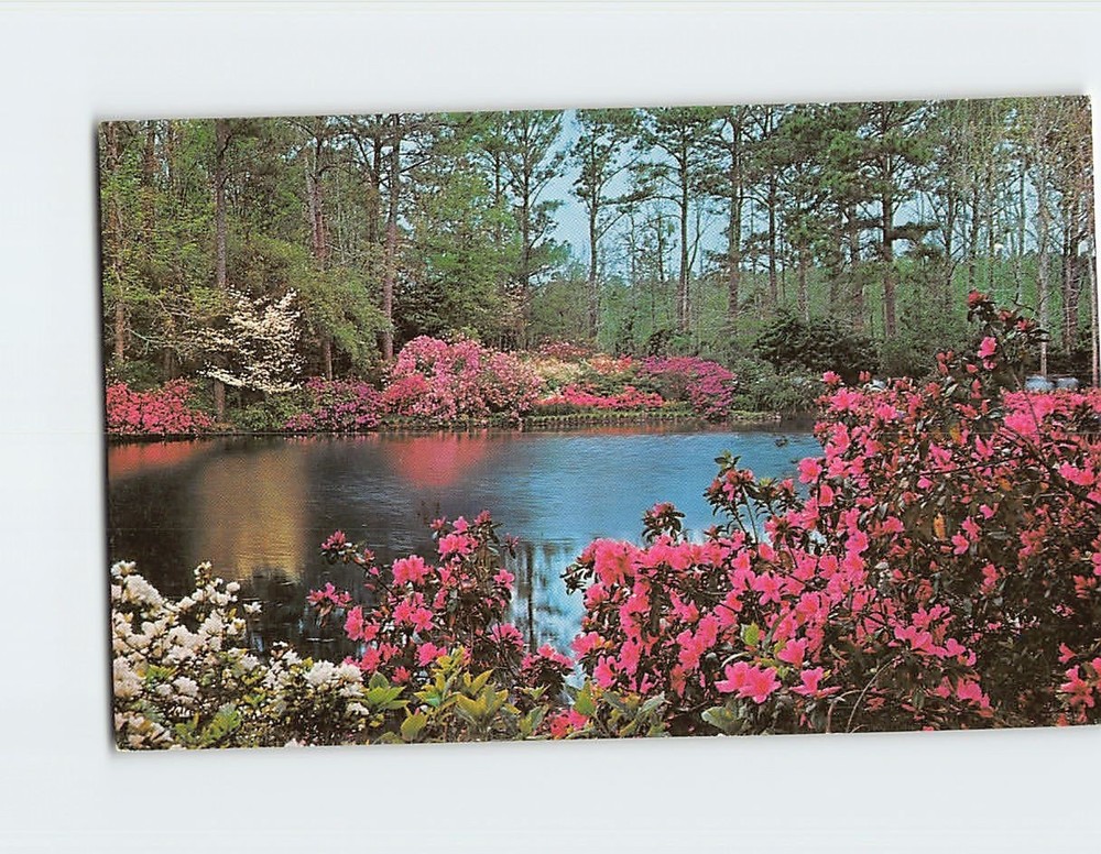 Postcard Mirror Lake Bellingrath Gardens near Mobile Alabama USA North America