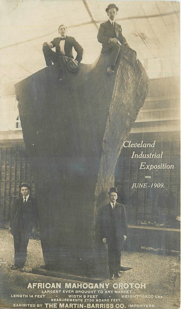 1909 Cleveland Ohio African Mahogany Advertising Expo RPPC Postcard 26-3610