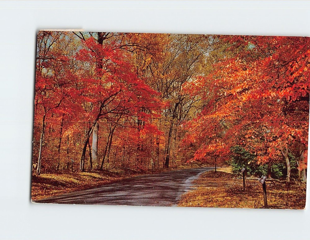 Postcard Autumn Country Road Nature Scene