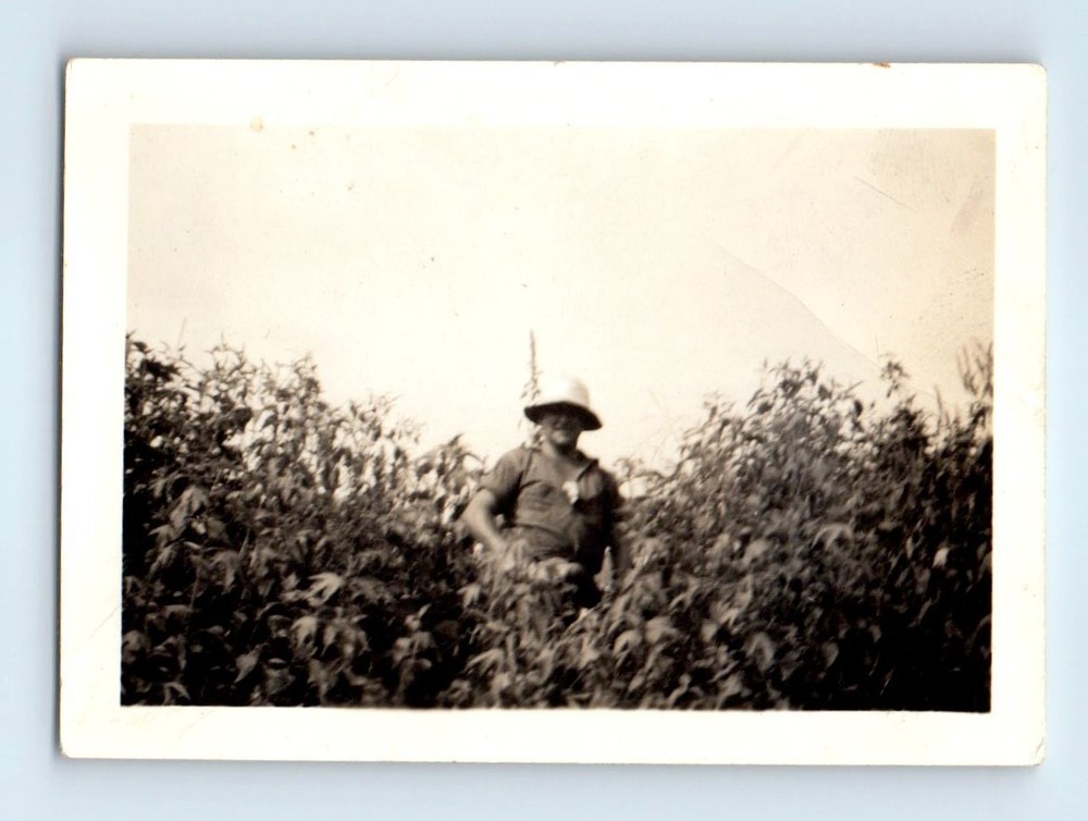 Old Vintage Photo SOLO MAN STANDING IN FIELD ORIGINAL SNAPSHOT PHOTOGRAPH