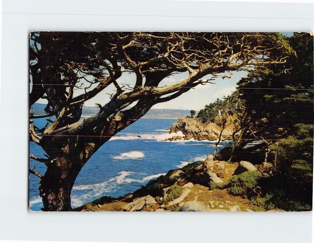 Postcard Point Lobos State Park Carmel California USA