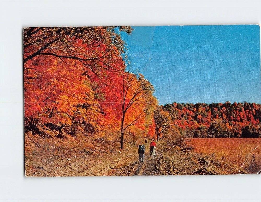 Postcard Flaming Fall Revue Sight in the Ozarks