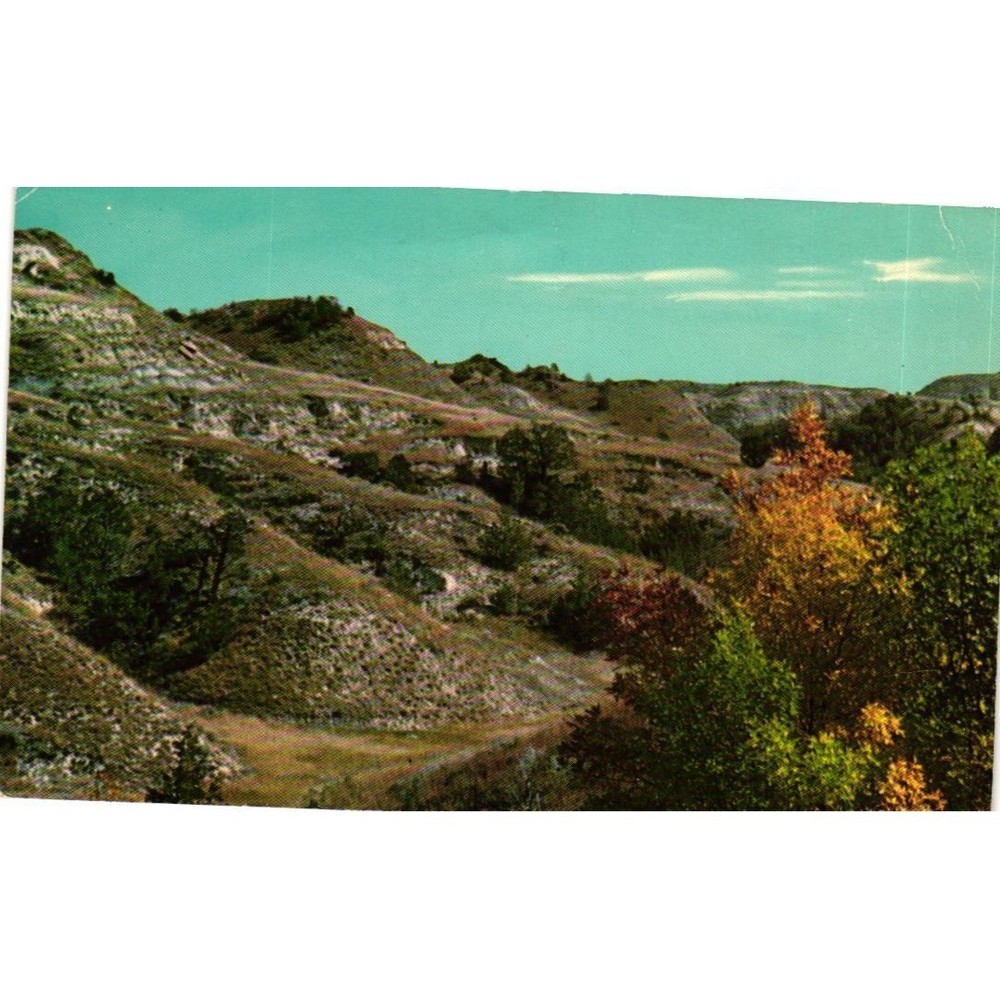 Theodore Roosevelt National Memorial Park North Dakota Badlands Vintage Postcard