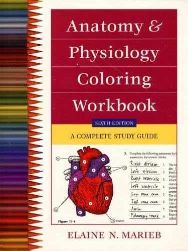 Anatomy and Physiology Coloring - Paperback, by Marieb Elaine N. - Acceptable