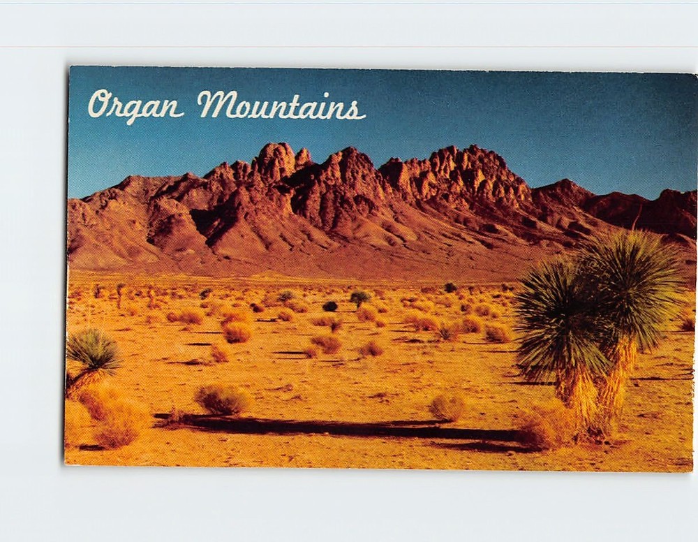Postcard Organ Mountains New Mexico USA