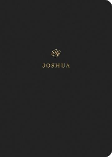ESV Scripture Journal Joshua Paperback Bible Study Notes 2019 Edition