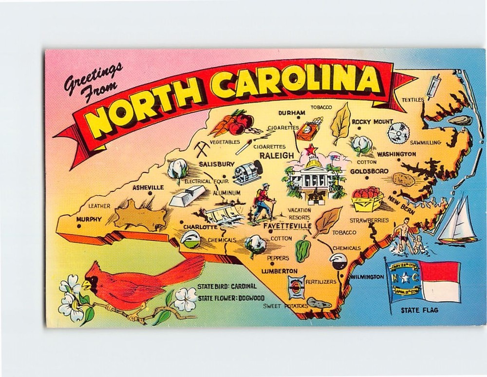 Postcard Greetings from North Carolina USA