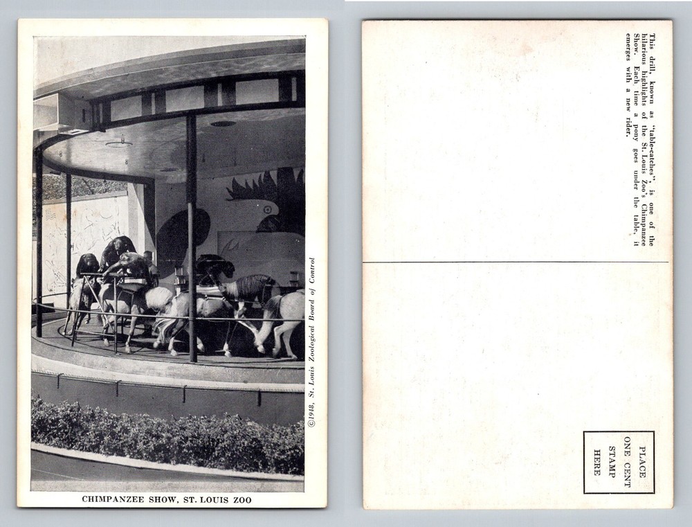 St Louis, MO-Missouri, Zoo Chimpanzee Show Carousel Ride Vintage Postcard