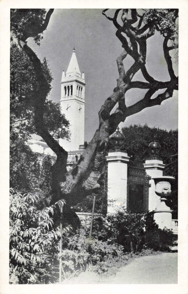 Berkeley CA University of California Sather Gate and Campanile, Vintage Postcard