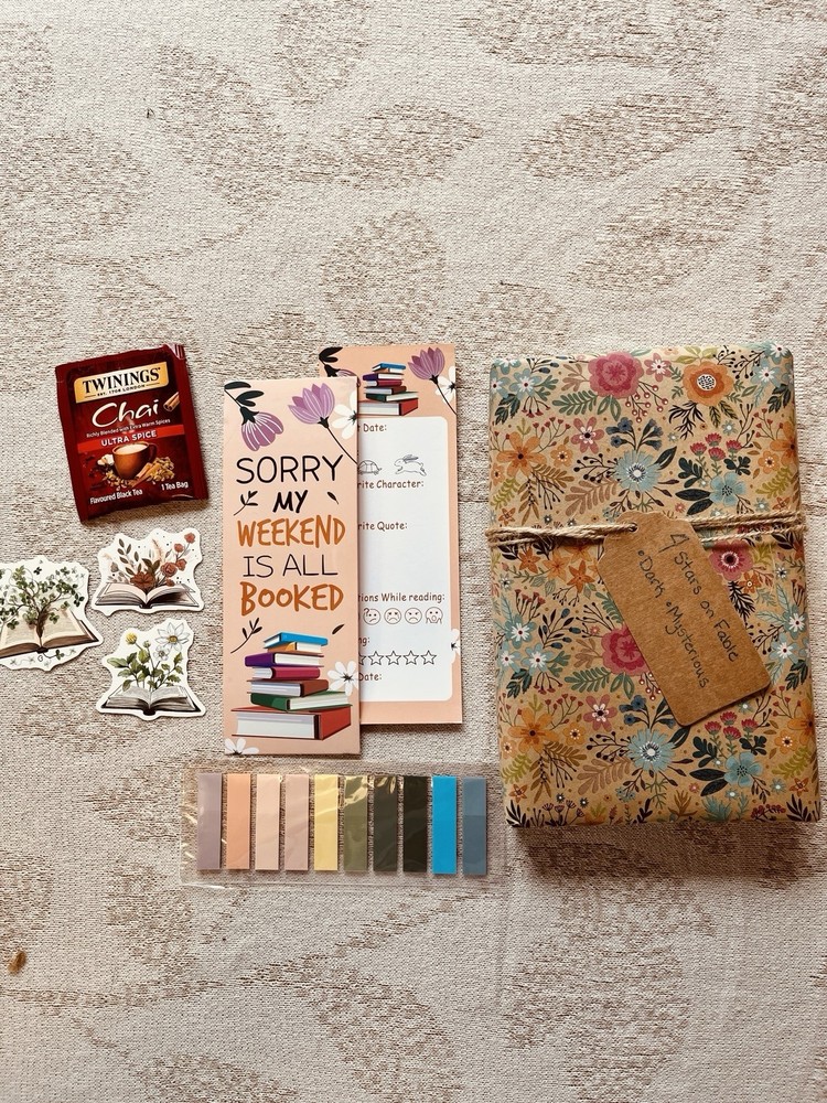 Blind Date with a Book | Bookish Gift | Gift for Booklovers