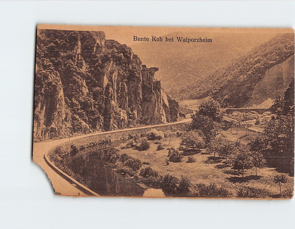 Postcard Bunte Kuh Bad Neuenahr Ahrweiler Germany