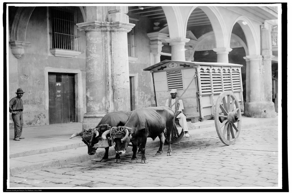 Decoration Poster print.Wall art decor.Home interior.1900 Cuba B&W Photo.11202