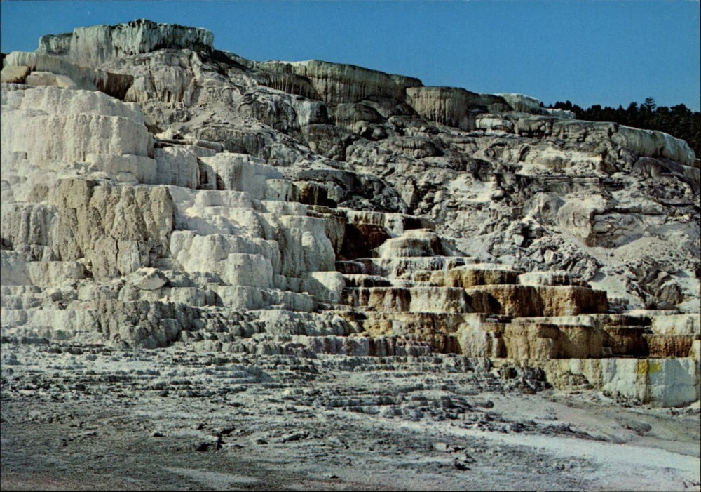 Wyoming Yellowstone National Park Minerva Terrace ~ postcard sku605