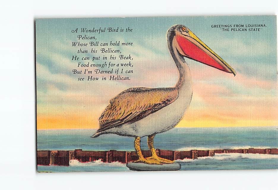 Postcard Greetings From Louisiana The Pelican State Louisiana USA
