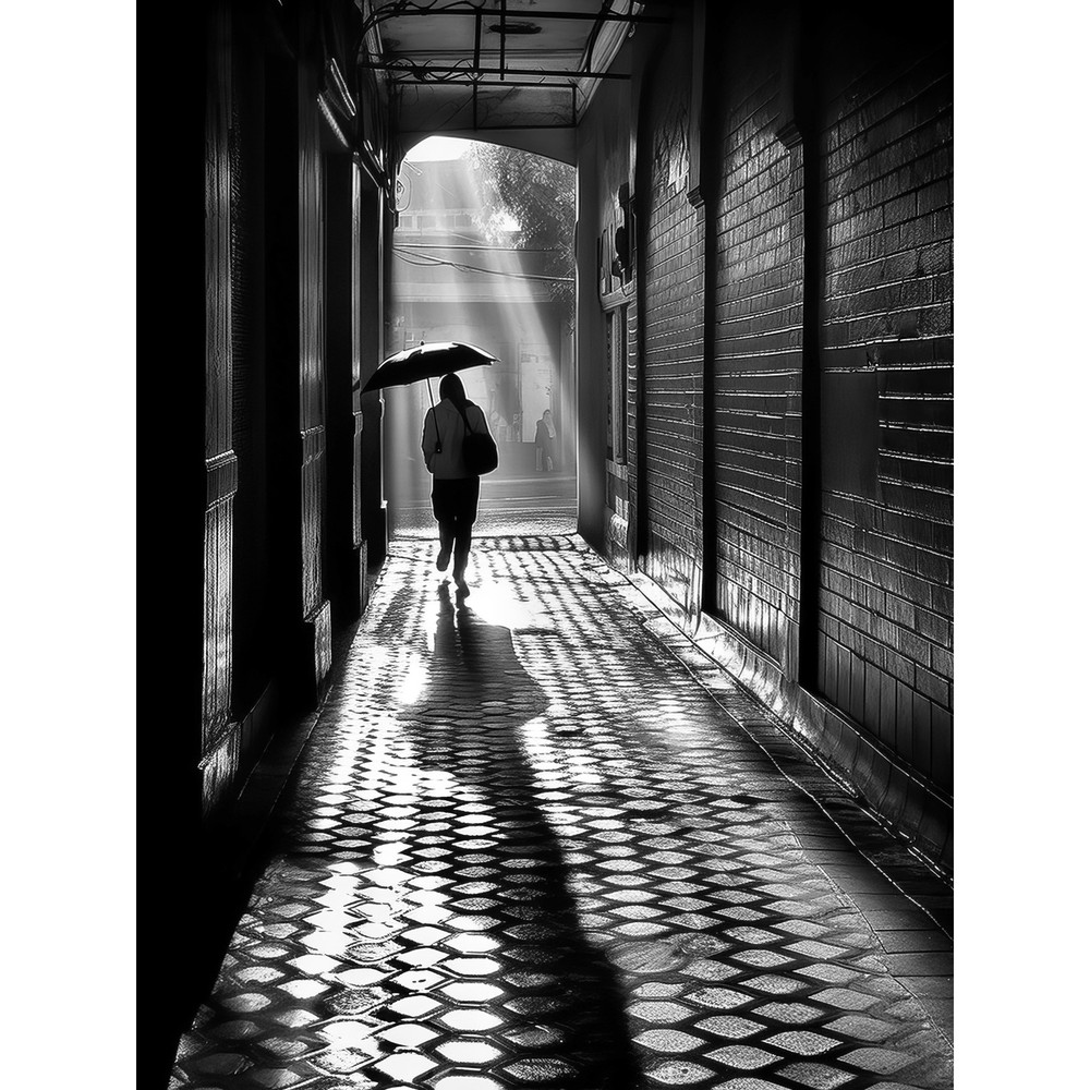 Walking Through the Alley Black and White Photo Huge Wall Art Poster Print Giant