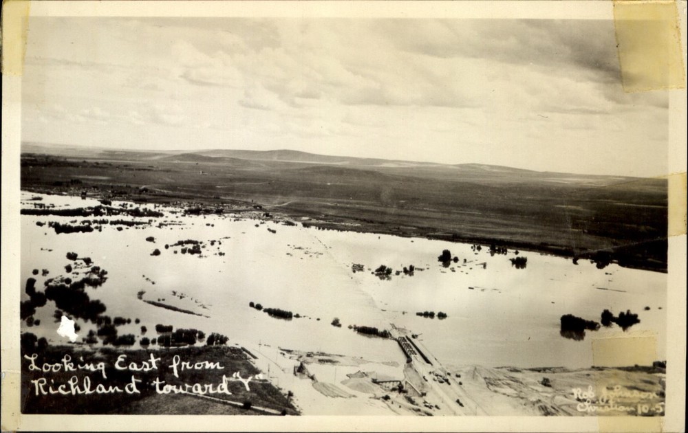 RPPC East from Richland Washington during flood to Yakima River~ photo postcard