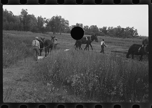 Photo:1930s Men with Horses in Field Rural Farm Scene