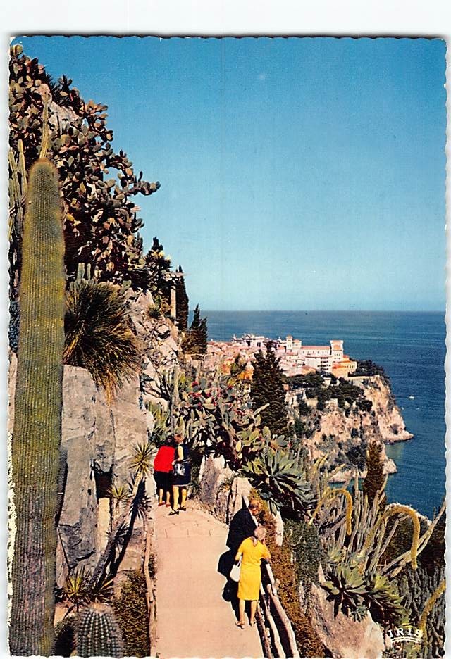 Postcard Le Jardin Exotique et le Rocher de Monaco Monaco