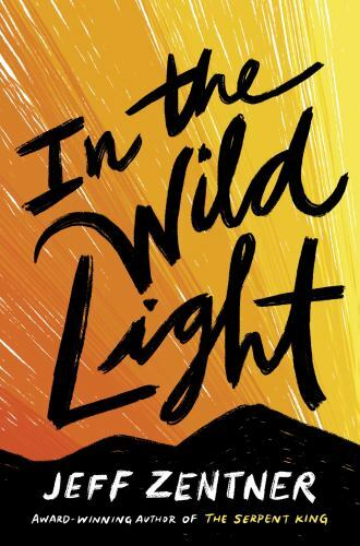 In the Wild Light by Zentner, Jeffby Zentner, Jeff | HC | Acceptable