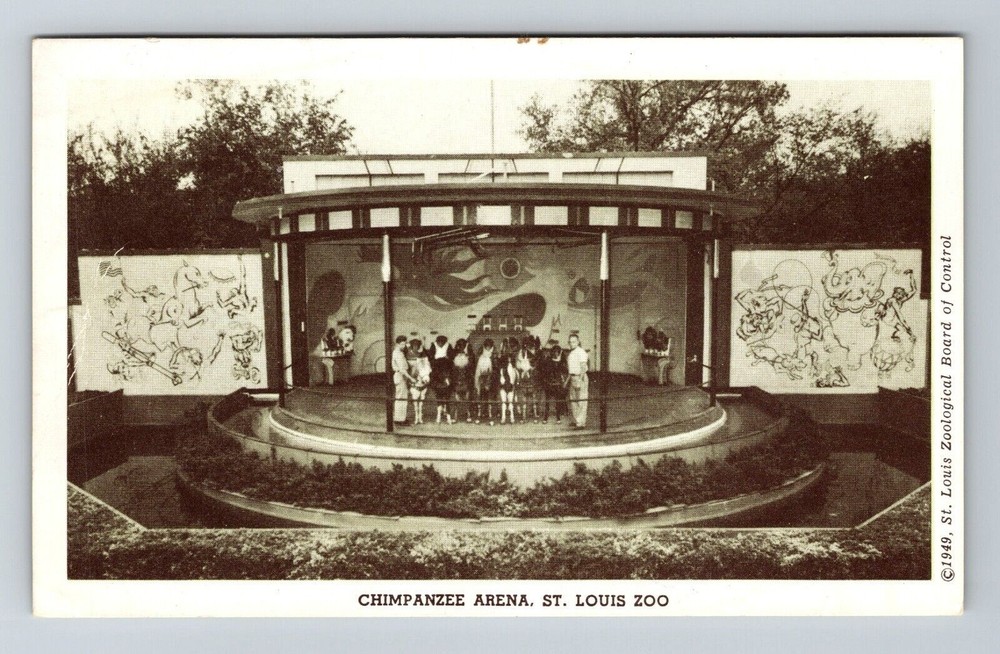 St Louis MO-Missouri, Chimpanzee Arena, St Louis Zoo, Vintage Postcard