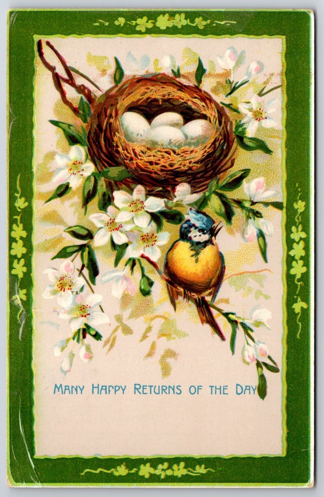 Blue Tit Bird with Nest of Eggs White Apple Blossoms Happy Returns Postcard
