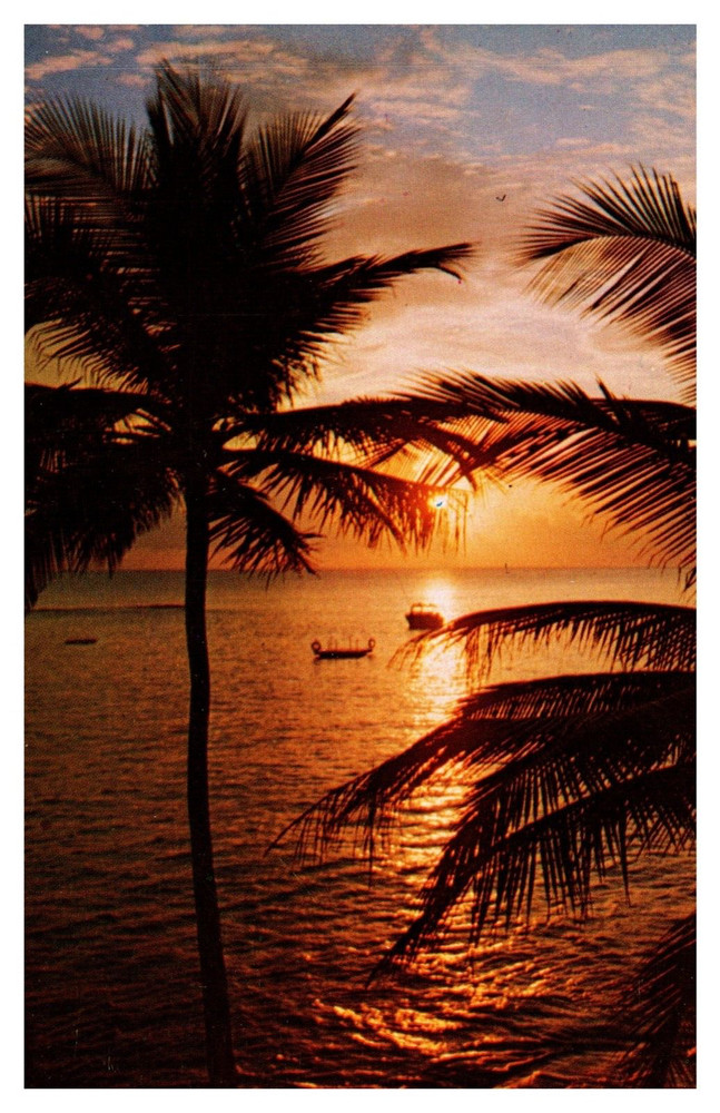 FL Florida Sunset Boat Palm Trees Ocean Chrome Postcard