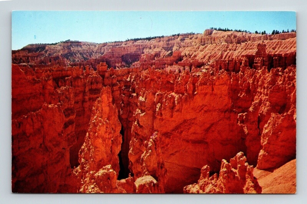Bryce Canyon National Park Utah Sunset Point Scenic Landmark Chrome Postcard