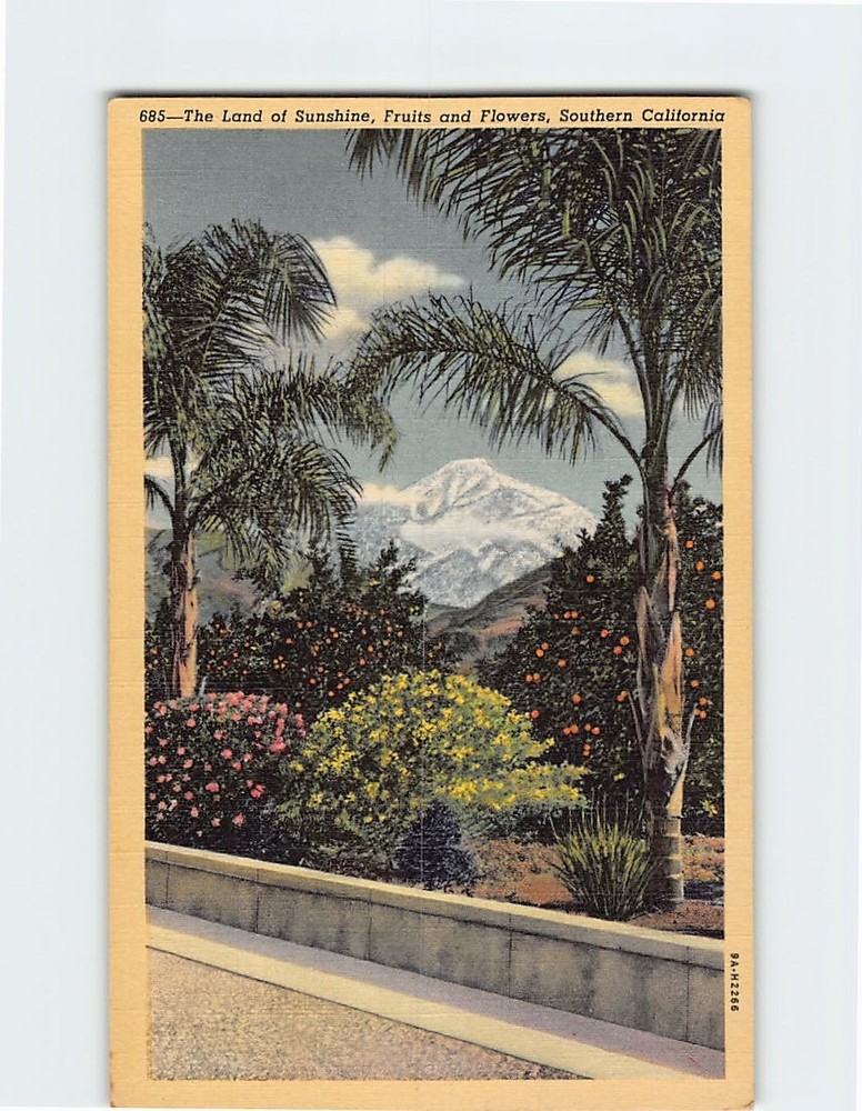 Postcard Land of Sunshine, Fruits & Flowers Southern California USA