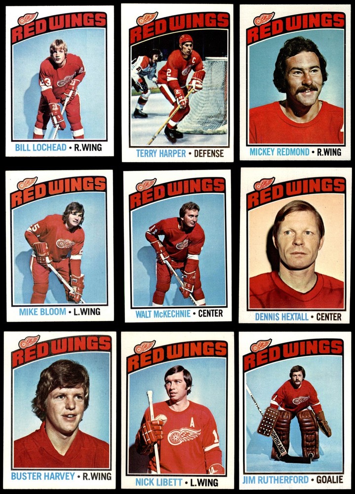 1976-77 Topps Detroit Red Wings Near Team Set 6 - EX/MT 3892801 (15 / 17 cards)