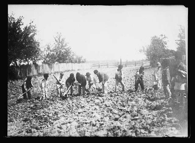Photo:Romania 1920 War Orphans Boys Junior Red Cross Garden Work