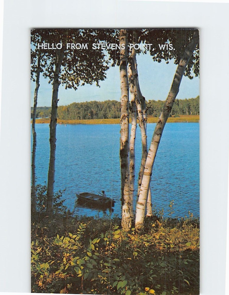 Postcard Fishing Fun Among The Birches Hello from Stevens Point Wisconsin USA