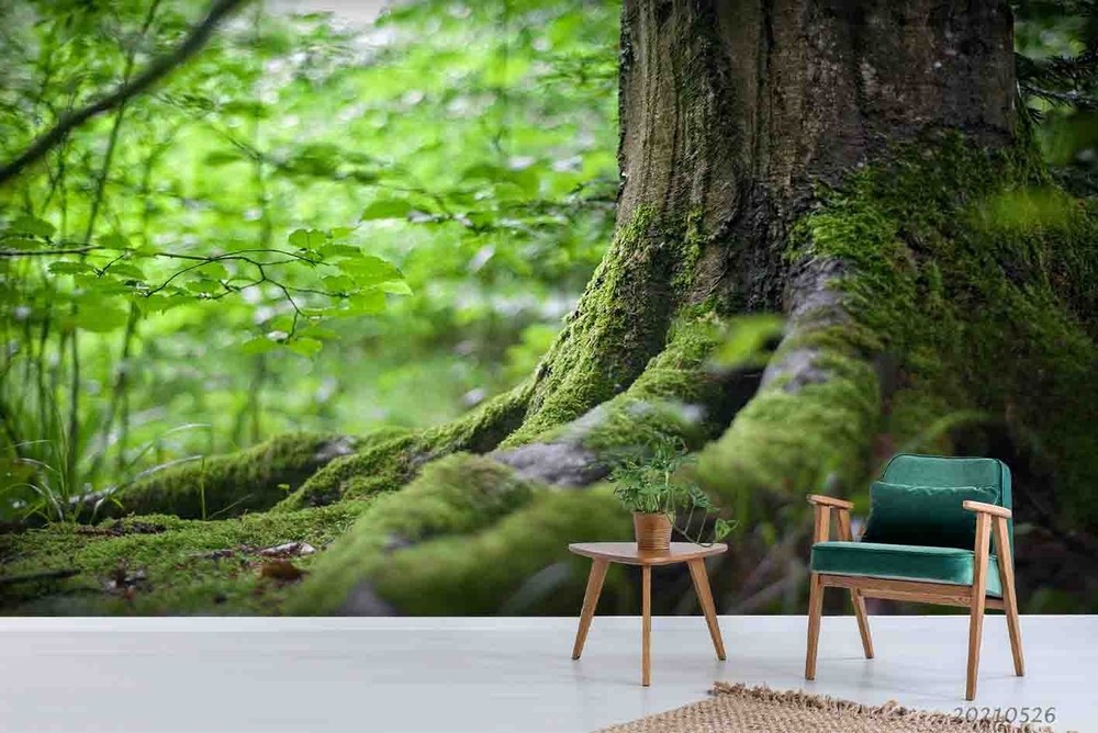 3D Tree Trunk Plants Wall Murals Wallpaper Murals Wall Sticker