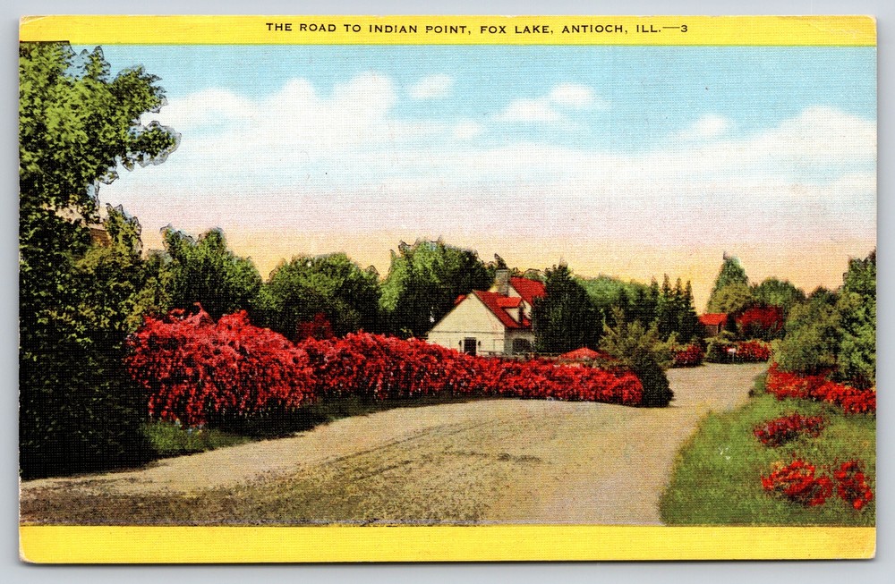 Antioch Illinois~Road To Indian Point~Flower Hedges~Vintage Linen Postcard