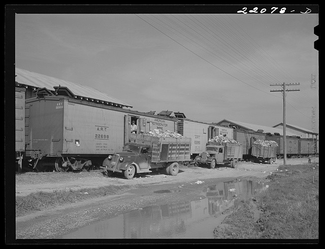 Photo:Donna Texas 1942 Loading Cabbage Trucks Railway Cars