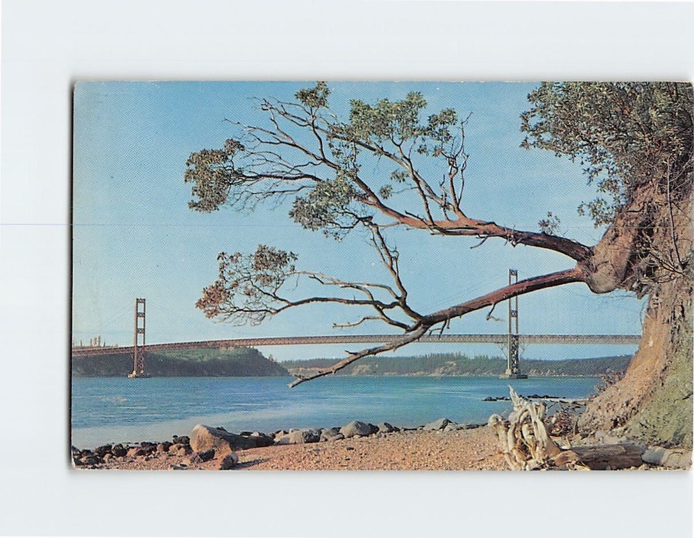Postcard Narrows Bridge Tacoma Washington USA