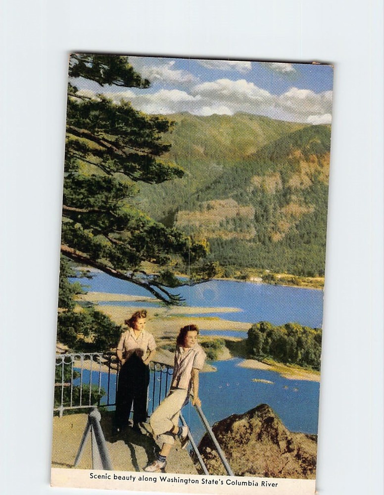 Postcard Scenic Beauty along Washington States Columbia River Washington USA