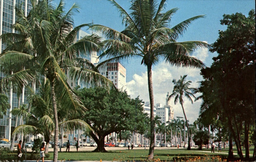Miami Florida FL ~ view from Bayfront Park at Biscayne Boulevard ~ 1970s