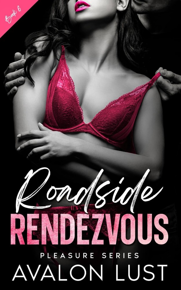 Roadside Rendezvous: Pleasure Series Book 6
