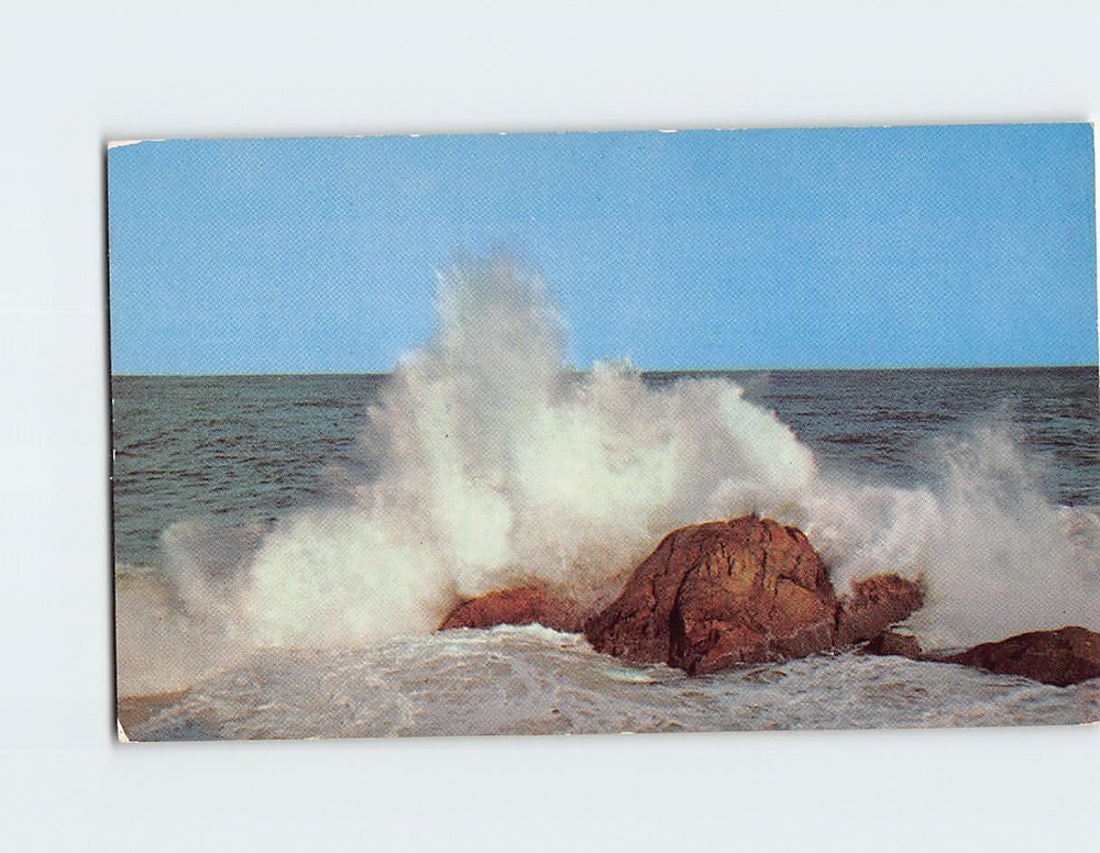 Postcard Greetings From Maine 