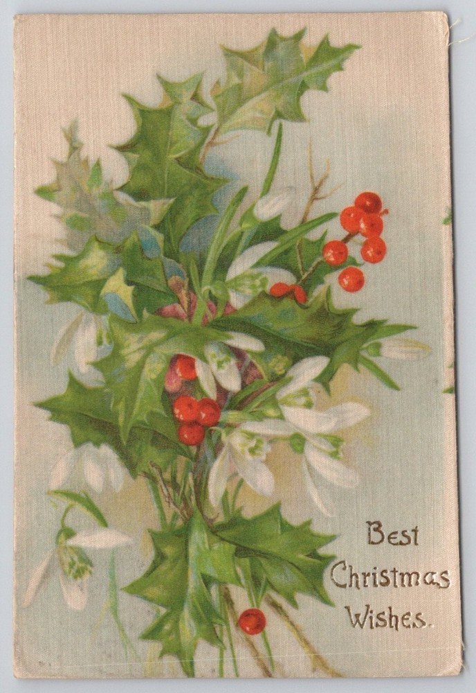 Vintage Christmas Postcard Holly Snowdrops 