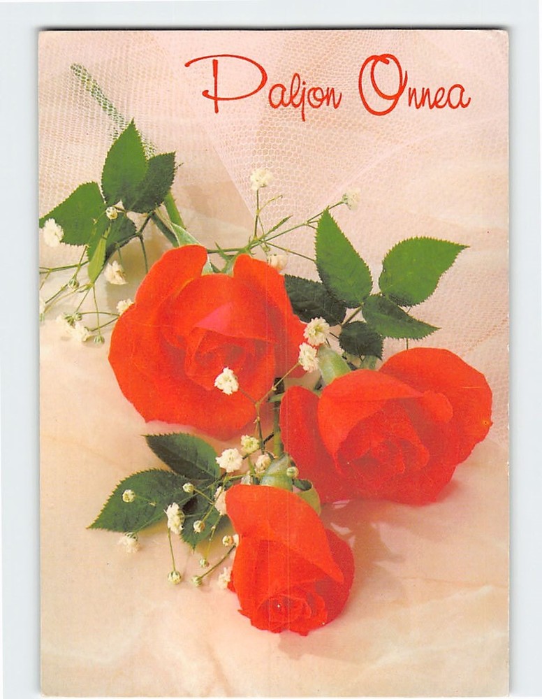 Postcard Congratulations Red Roses Flower Art Print