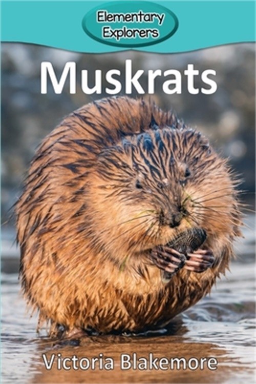 Muskrats (Paperback or Softback)