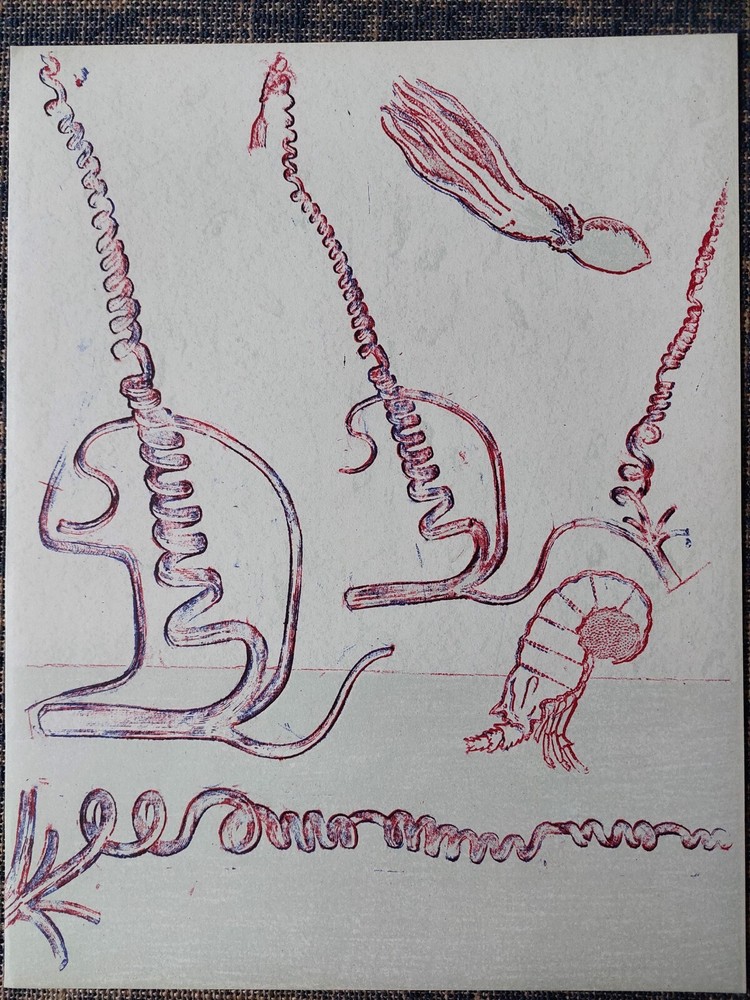 Max ERNST Original lithograph, 1974. Original print by Ernst