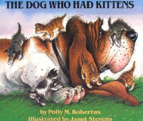 The Dog Who Had Kittens by Janet Stevens: Used