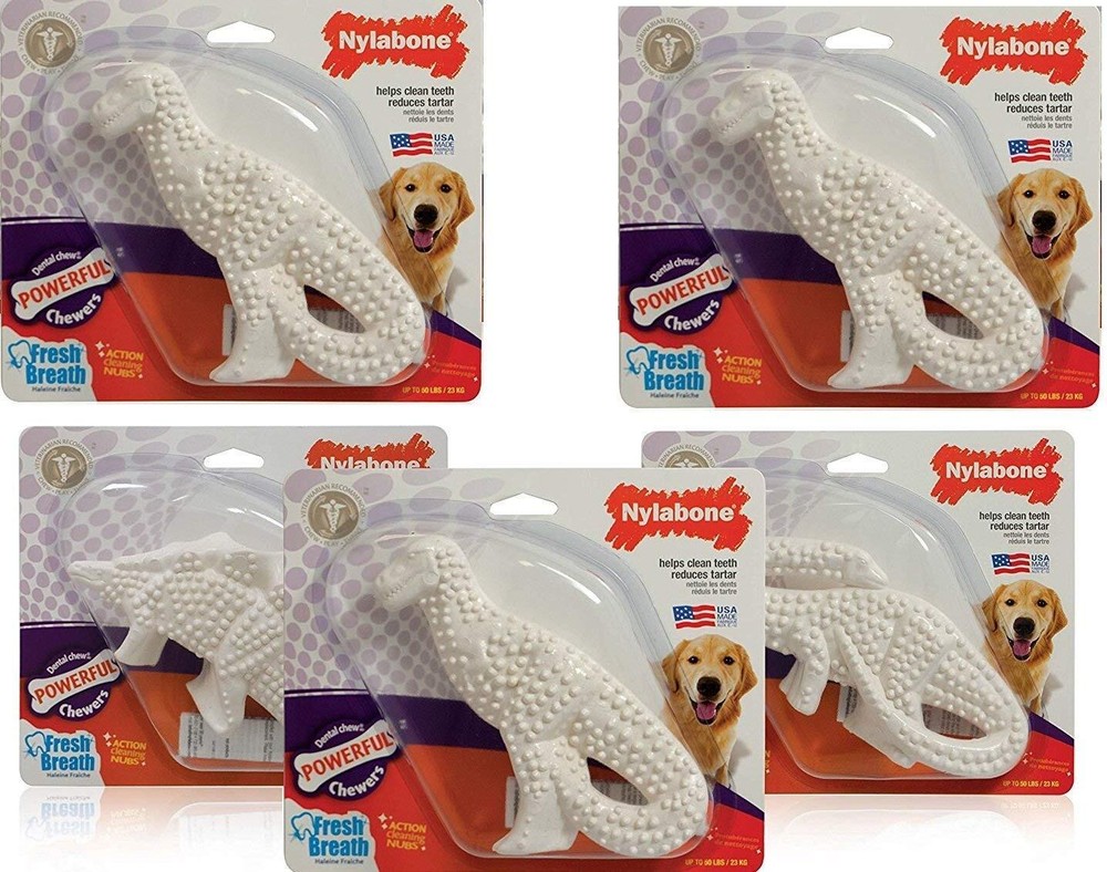 5 Pack of Power Chew Dental Dinosaur, Regular, Assorted Shapes