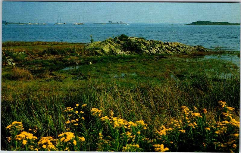Postcard BOAT SCENE State of Maine ME AN1758