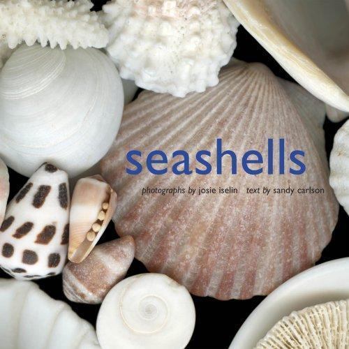 Seashells Iselin, Josie, Carlson, Sandy hardcover Used - Very Good
