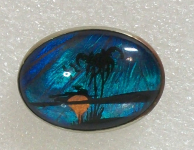 Vintage Blue Butterfly Wing Pin Oval  Iridescent Paradise Palm Tree Brooch